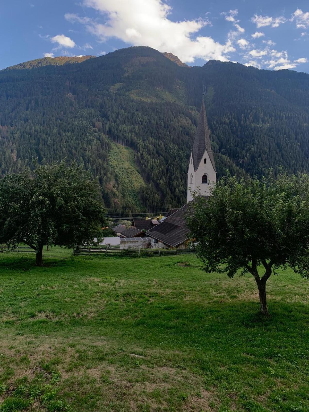 Panorama Semslach * Obervellach