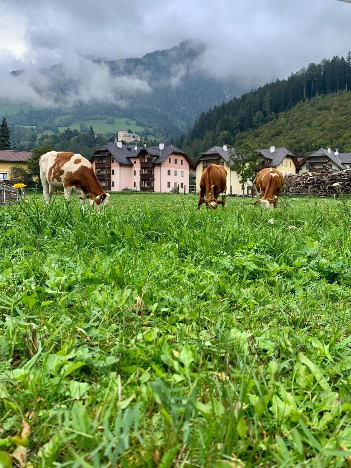 Panorama Semslach *